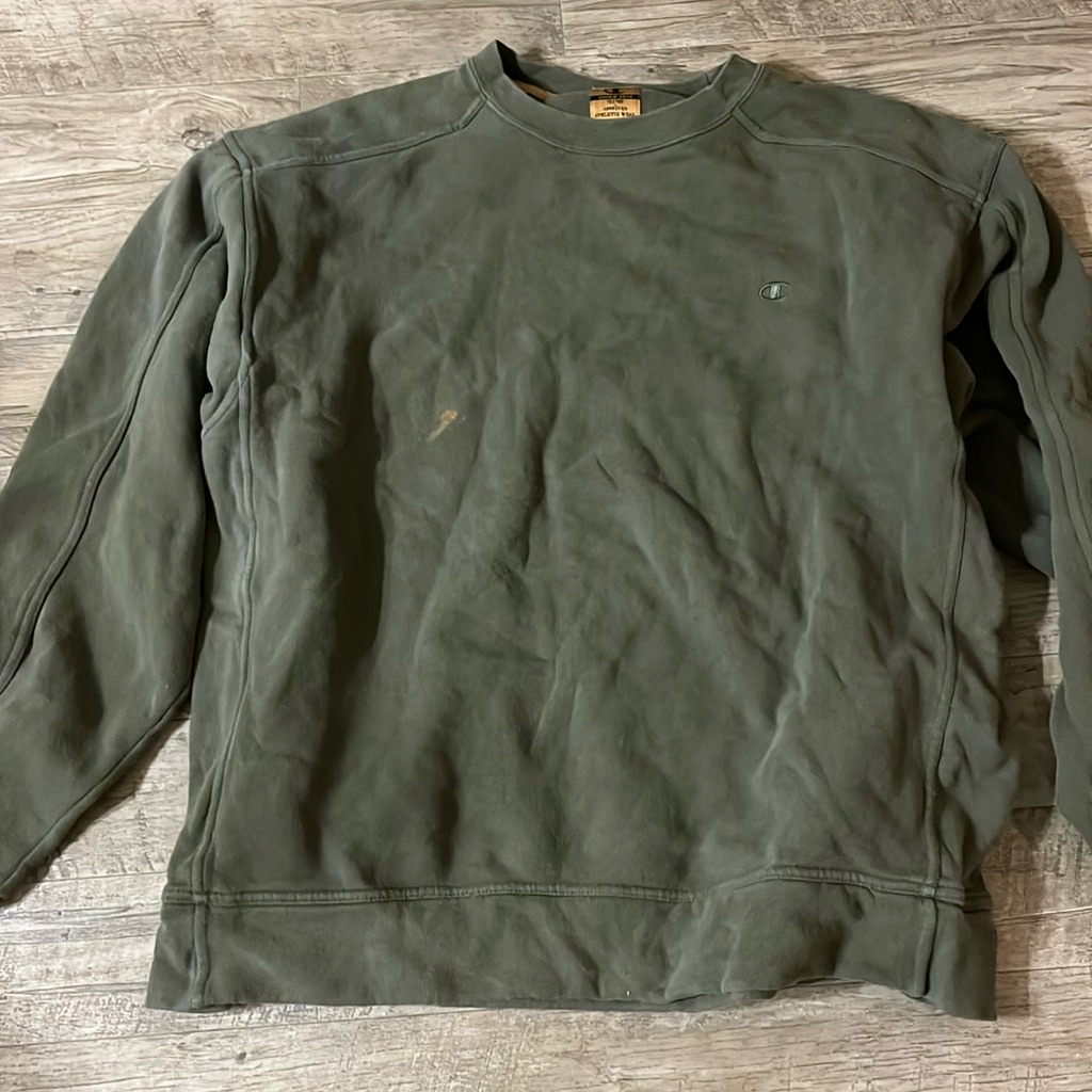 Champions Sweater